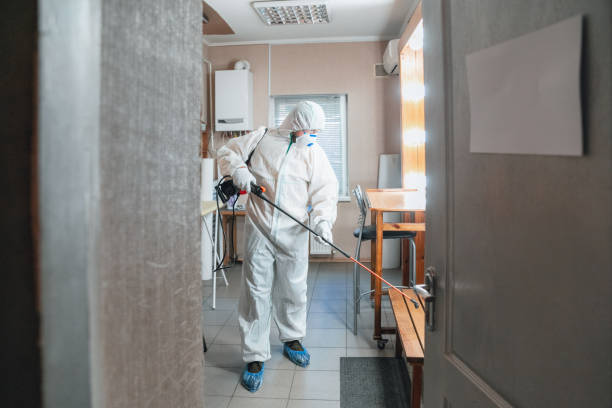 Best Water Damage & Mold Remediation  in Eureka, CA