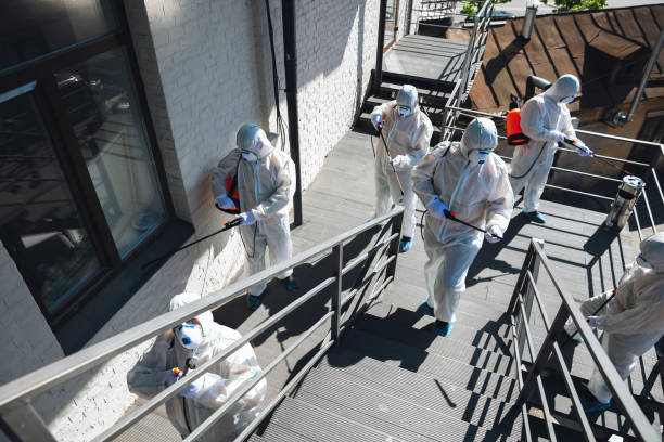 Best Emergency Mold Remediation  in Eureka, CA