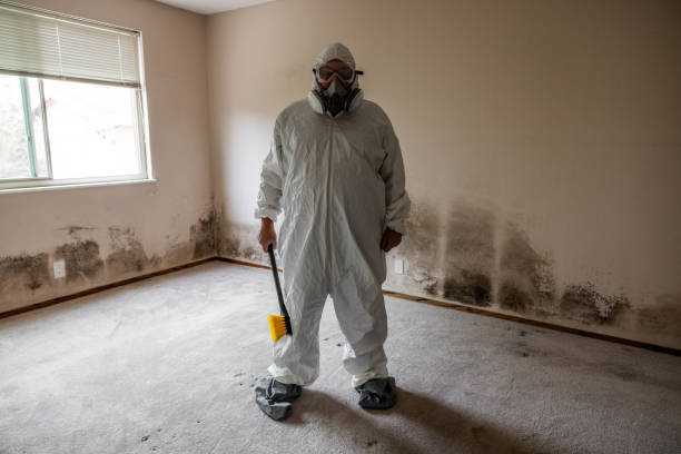 Biohazard Mold Removal in Eureka, CA